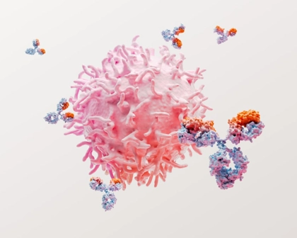 Lupus science image