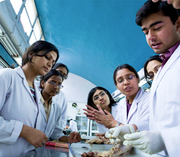 Annual Csr Report 2023 24