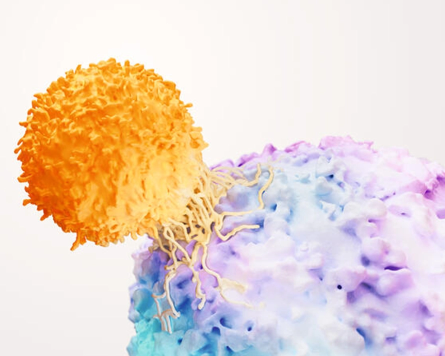 press release home banner oncology