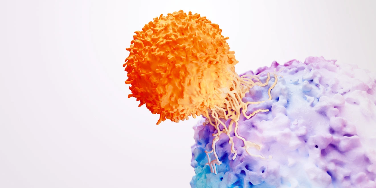 Oncology Banner