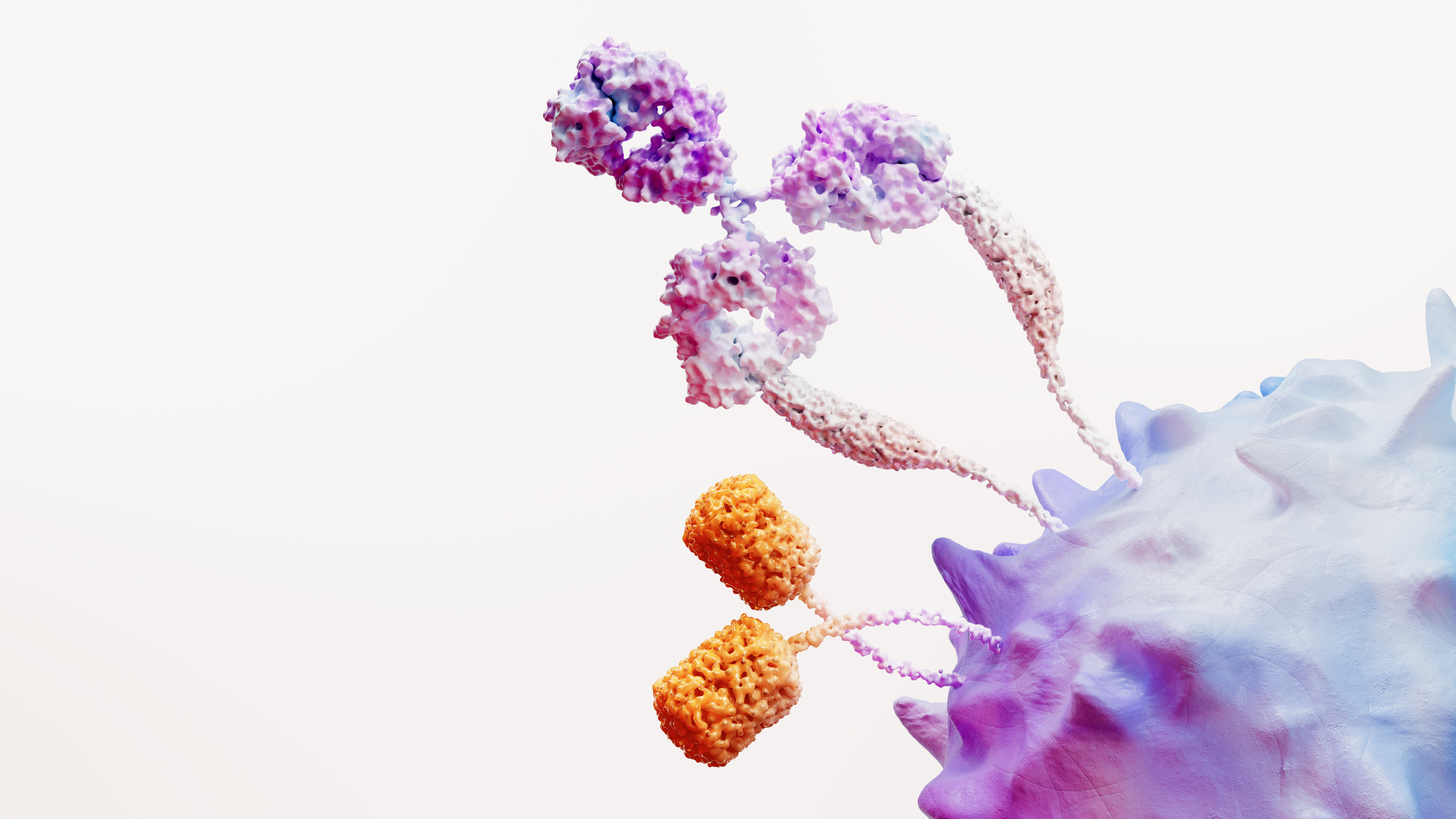 immuno-oncology-science-image-rgb