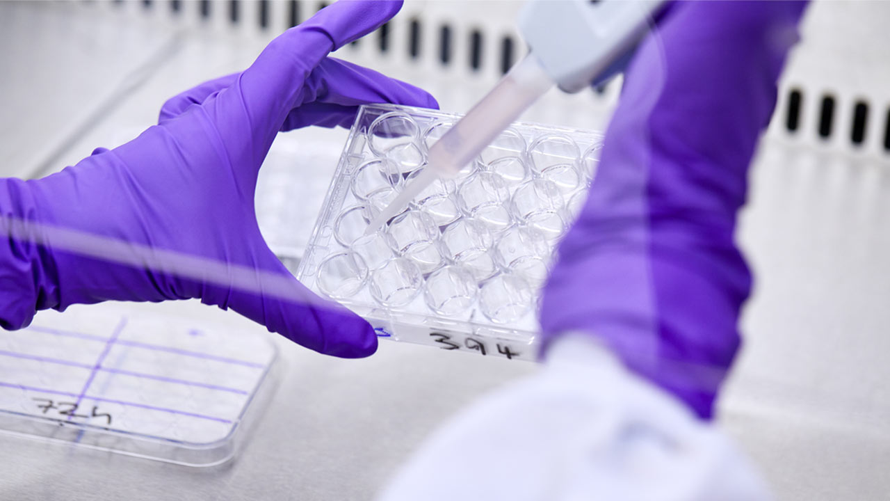 Explore the innovation stories