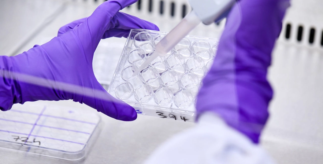 Explore the innovation stories