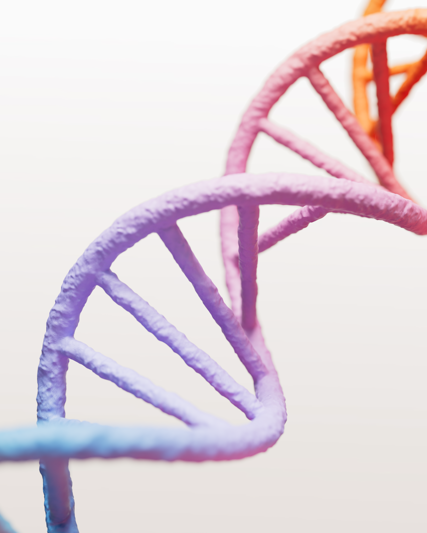 Purpose, Strategy and Culture at GSK India