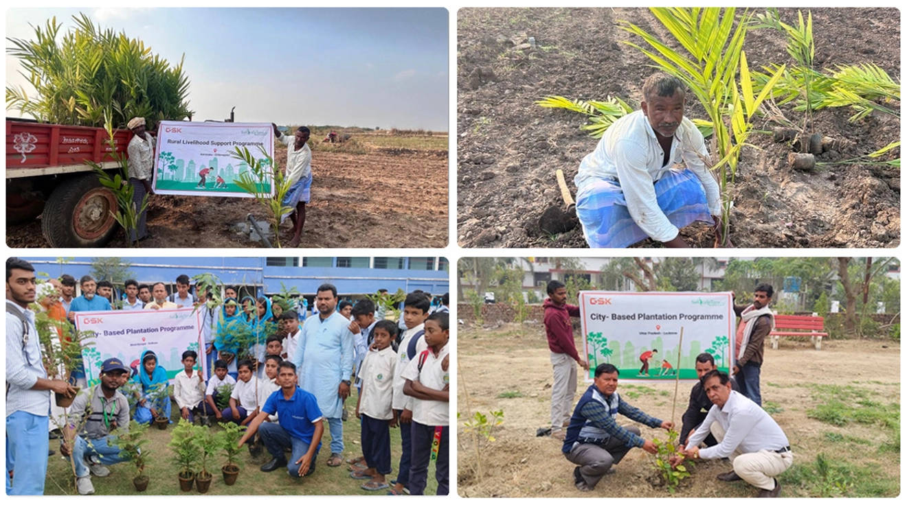 Tree Plantation Collage