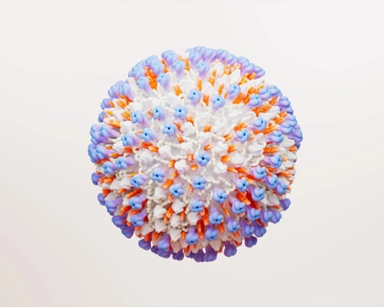 Image of RSV