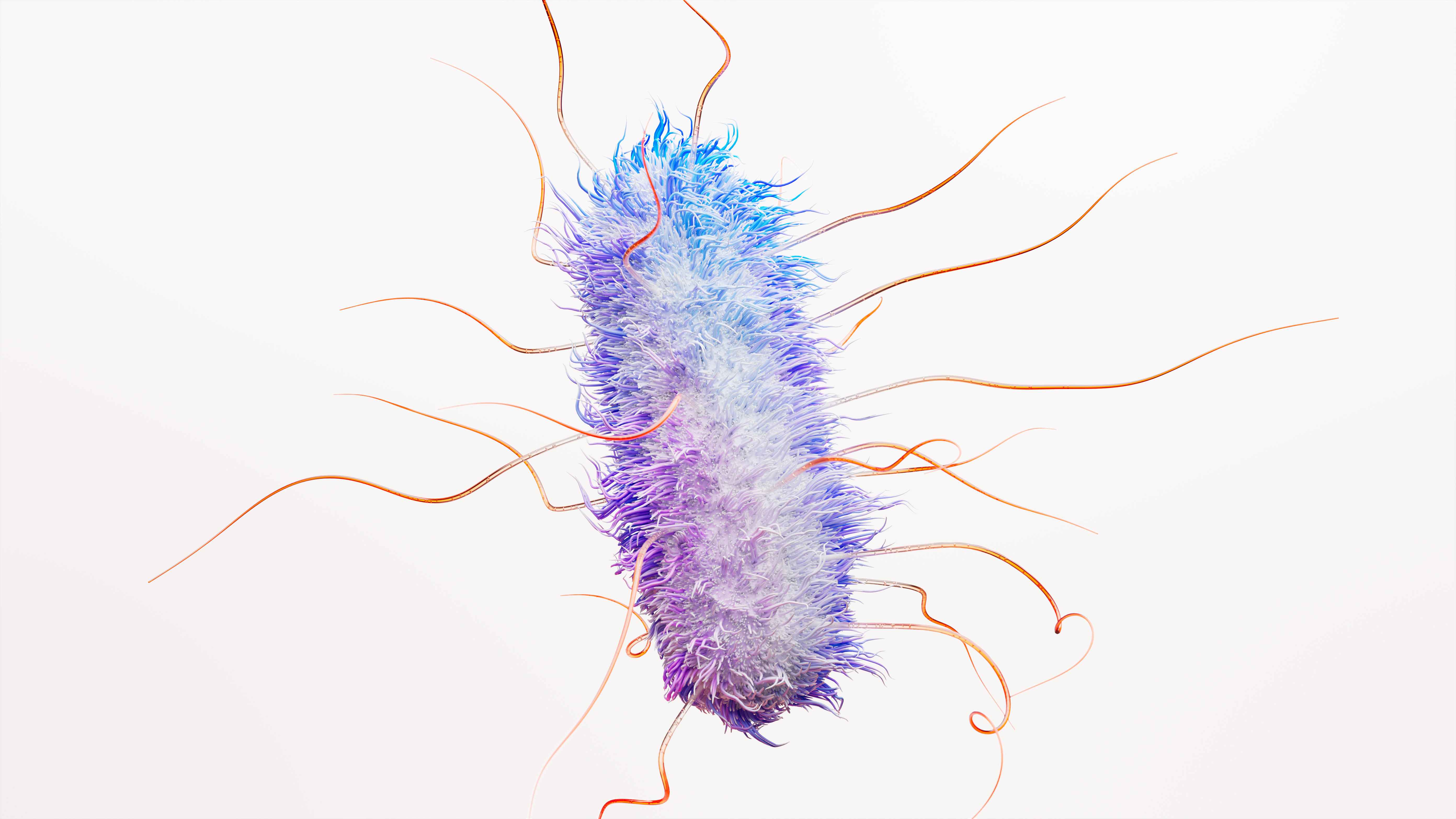escherichia-coli-e-coli-bacteria-science-image-rgb