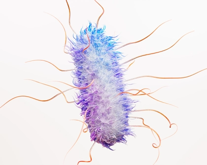 escherichia-coli-e-coli-bacteria-science-image-rgb